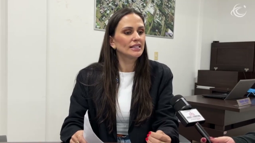 Projetos buscam fortalecer atuação do Conselho Municipal dos Direitos da Mulher